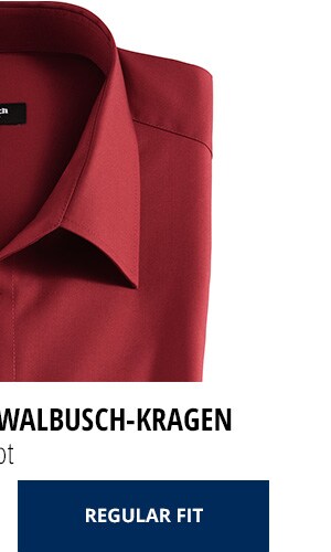 2 Hemden | Walbusch 2 Hemden | Walbusch